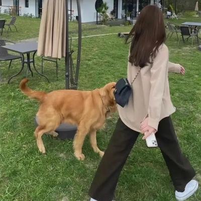 癫疯总动员